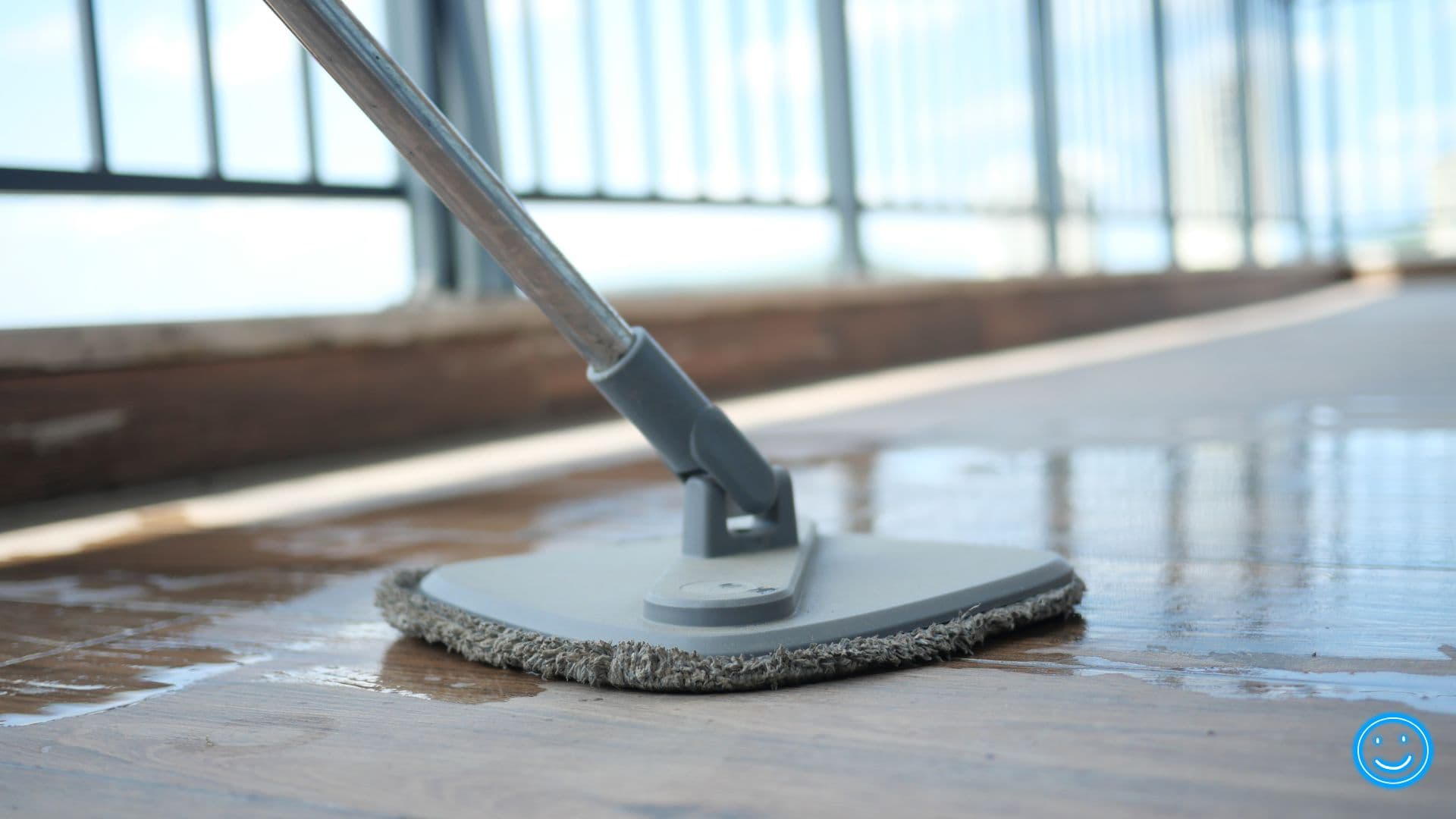 House Cleaning