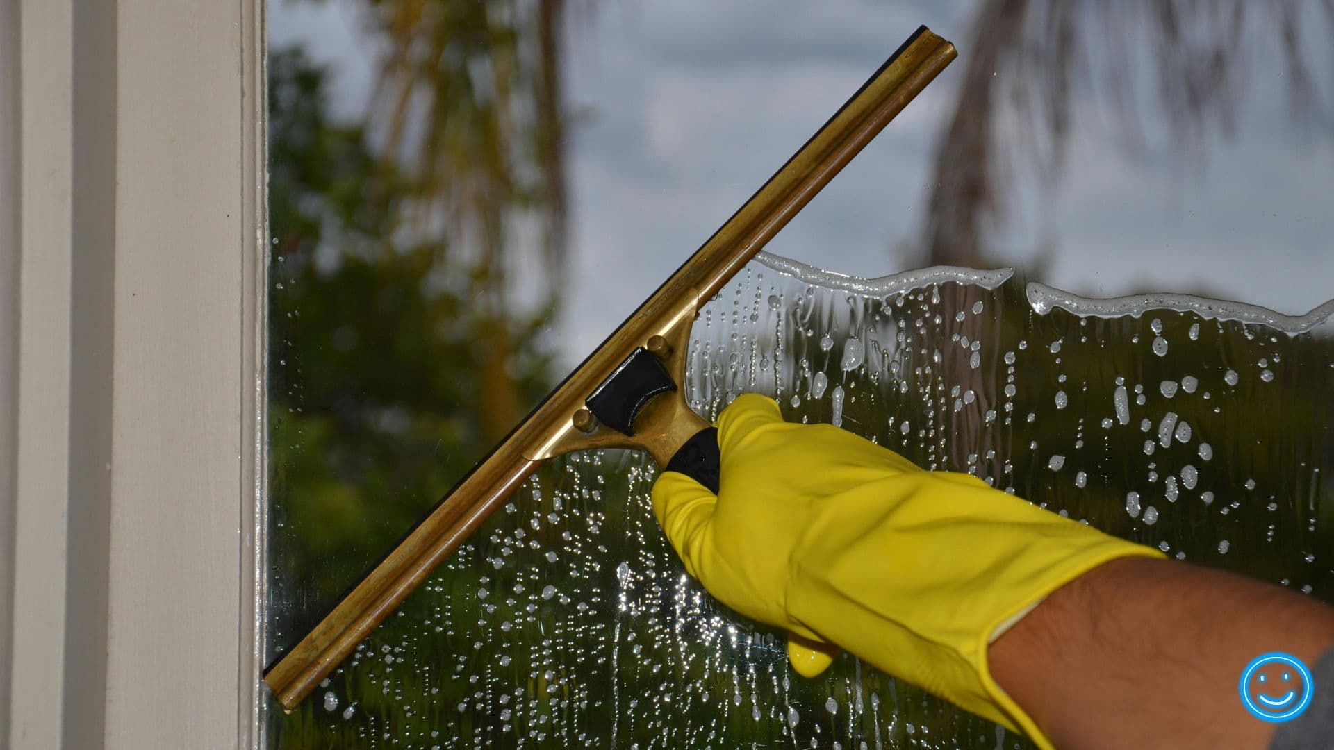 Window Cleaning